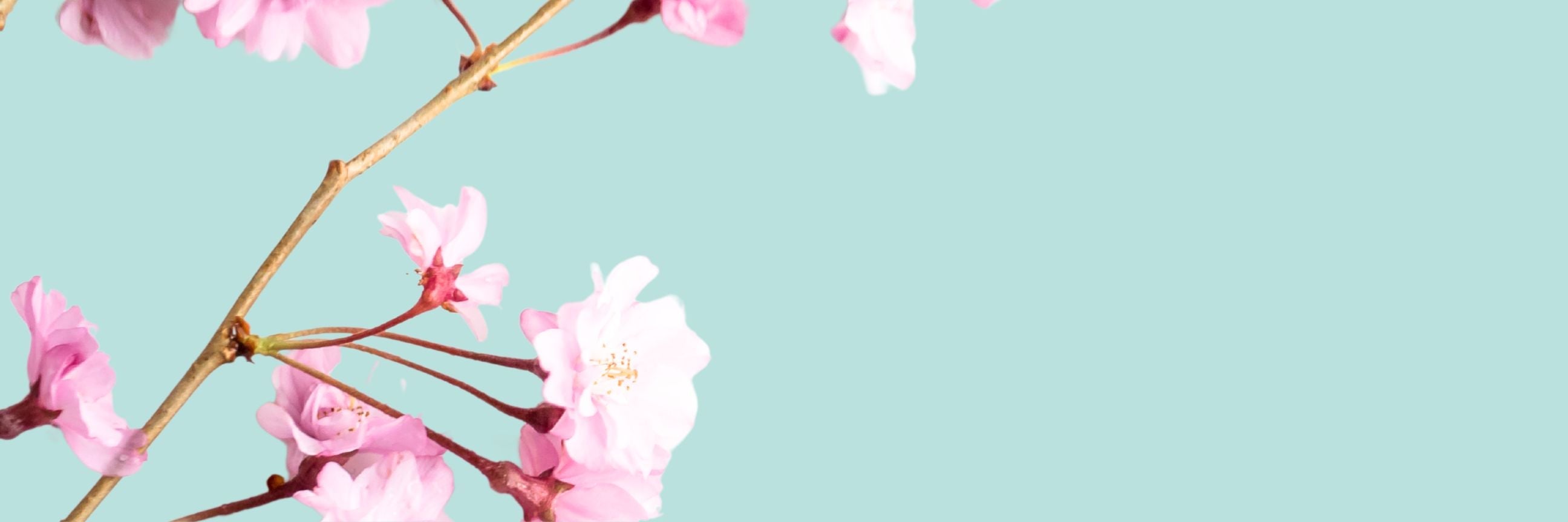 Frühling Essentials