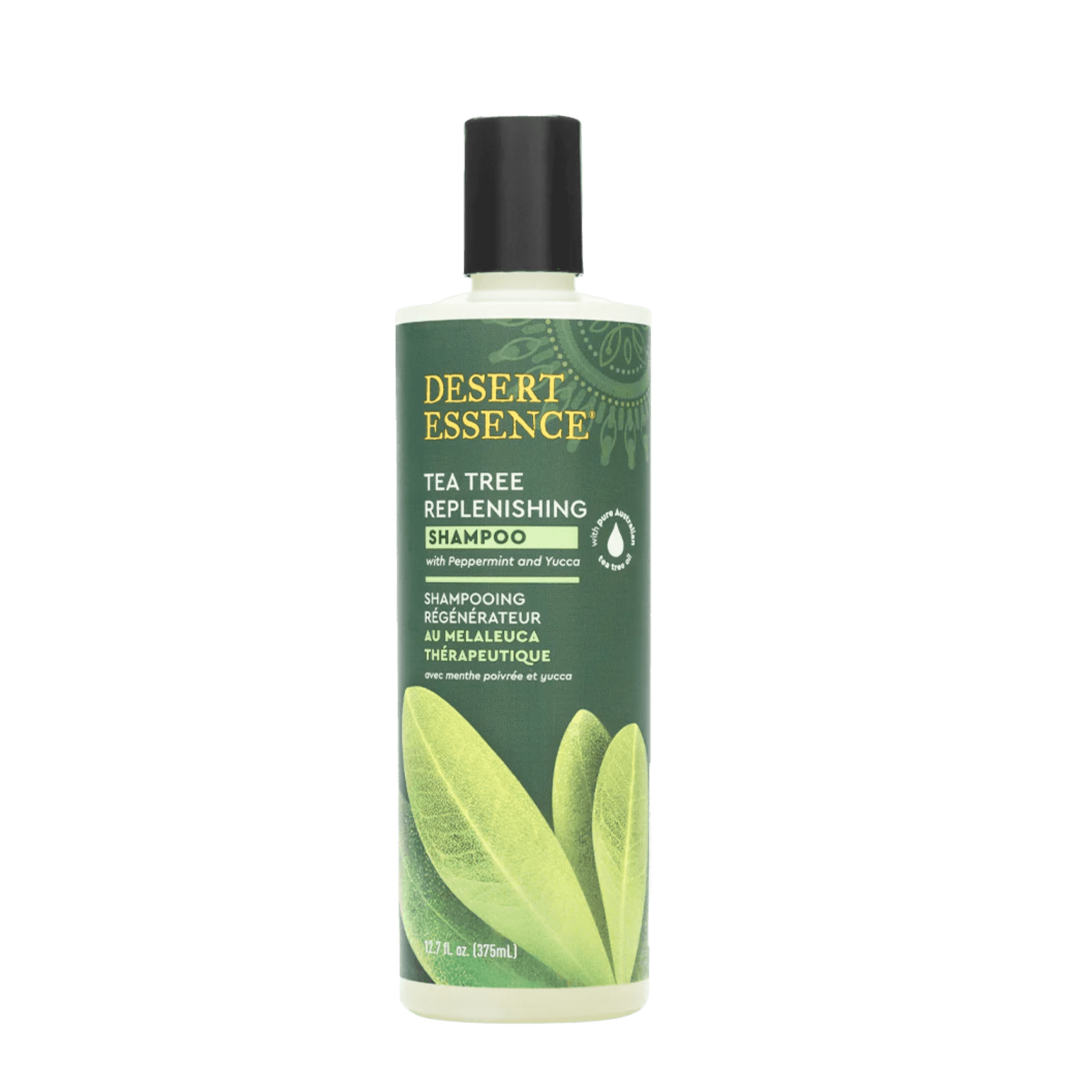 Desert Essence Tea Tree Shampoo – Natürliches Shampoo mit Teebaumöl in grüner Flasche. 375ml