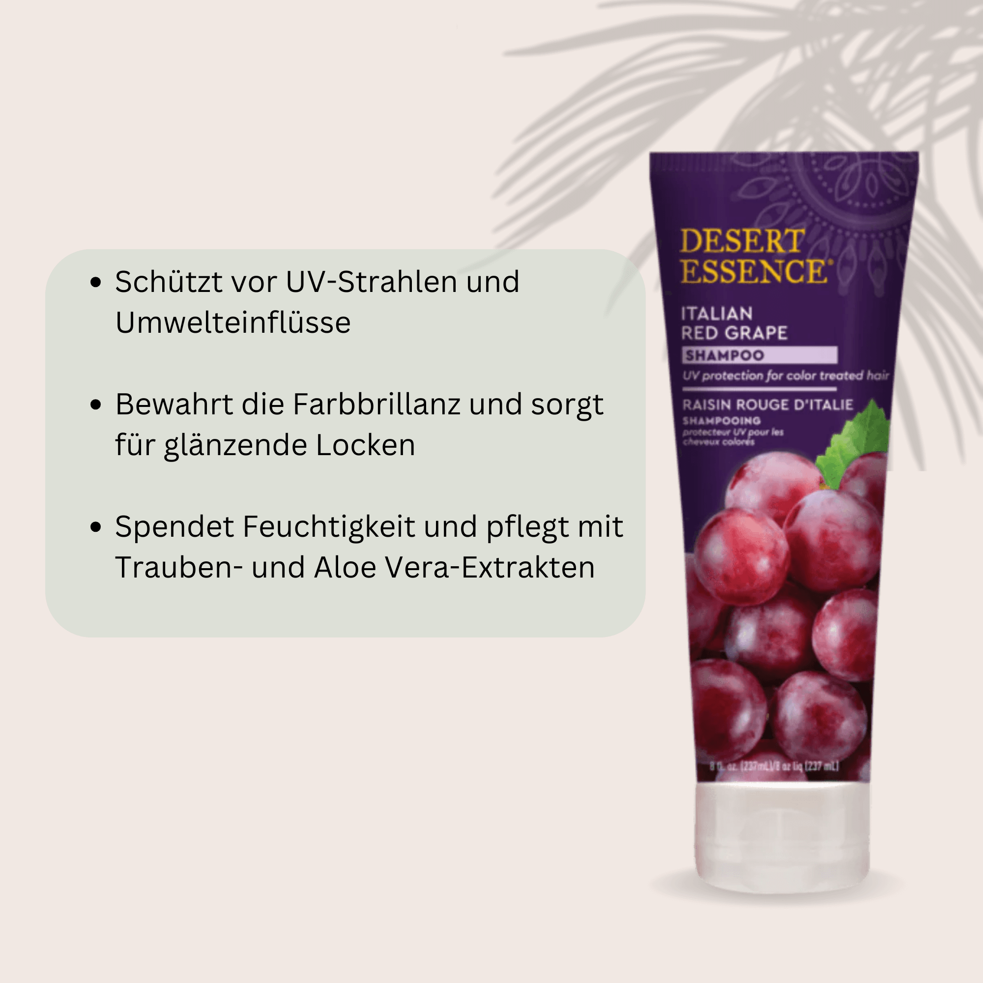 Desert Essence Red Grape Shampoo – Natürliche Haarpflege für coloriertes Haar in lila Flasche.237ml