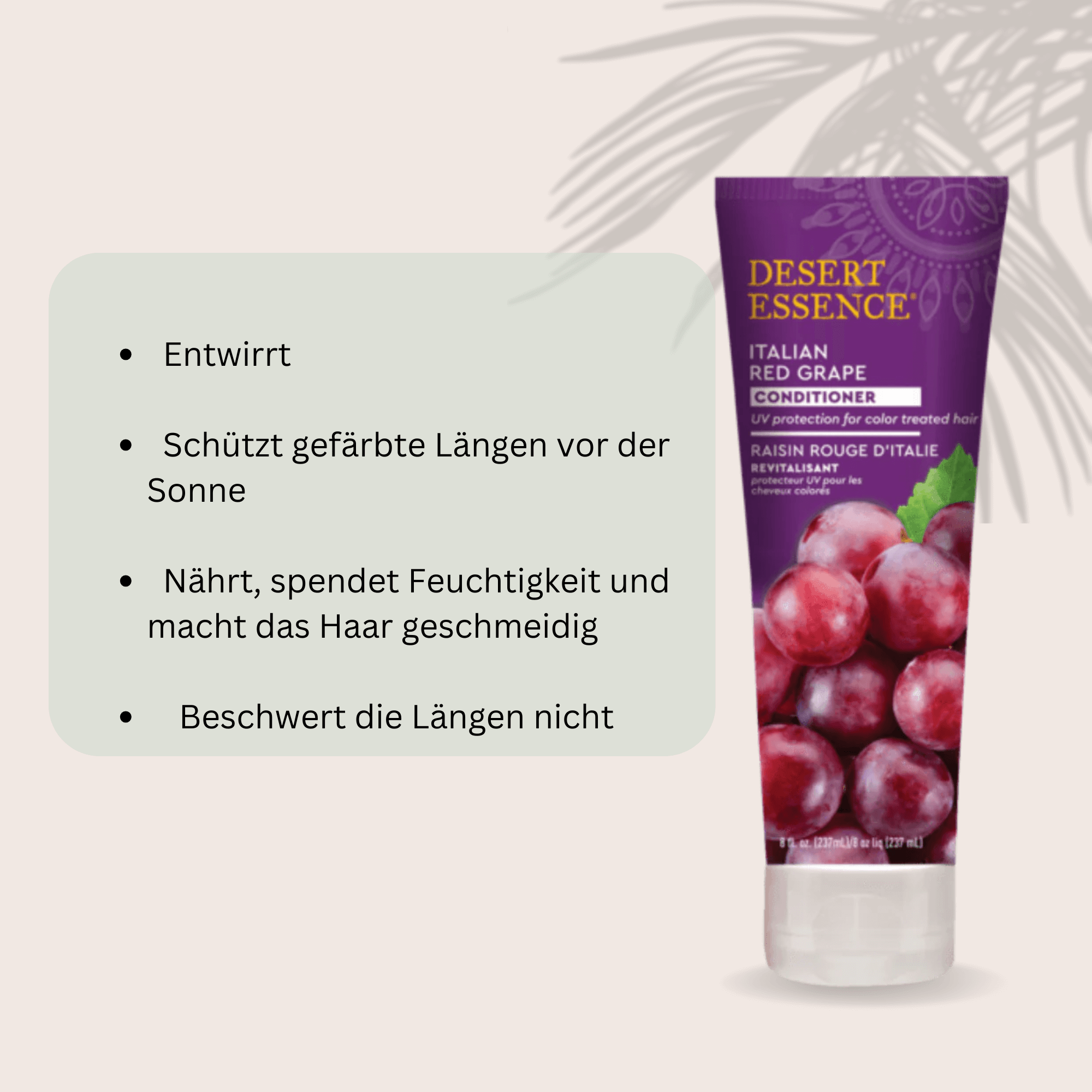 Der Desert Essence Italienische Rote Traube Conditioner entwirrt lockiges Haar, dem es an Glanz fehlt. Colorationen und Sonneneinstrahlung trocknen die Längen aus. Locken brauchen nach tagelangem Sonnenbaden oder nach dem Friseurbesuch eine Extraportion Pflege. Der Desert Essence Grape Conditioner ist ideal, um gefärbtes Haar zu schützen. Er nährt trockene Längen und verleiht gefärbten Locken Glanz. 