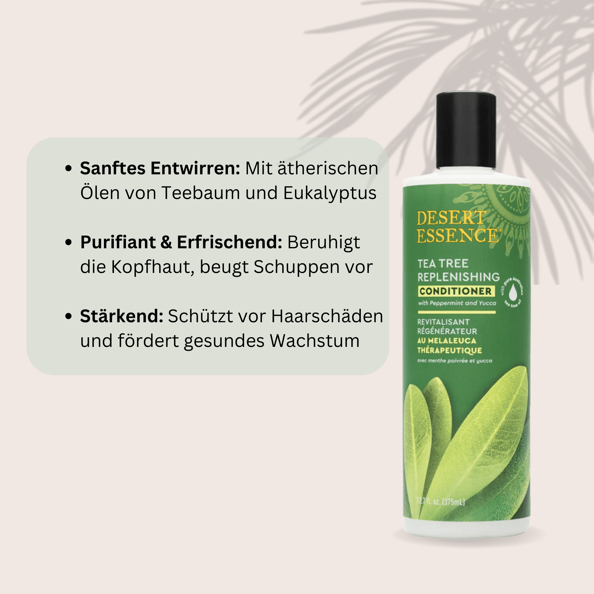 Desert Essence Tea Tree Regenerating Conditioner entwirrt Locken auf sanfte Weise. Dieser Conditioner mit ätherischen Ölen aus Teebaum und Eukalyptus reinigt die Längen, ohne sie auszutrocknen. Die beiden Öle revitalisieren das Haar, ohne es zu schädigen. Die Zusammensetzung des Produkts bekämpft Irritationen, Juckreiz und überschüssigen Talg. 